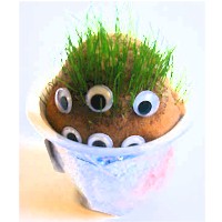 Grow A Grass Head Monster Craft