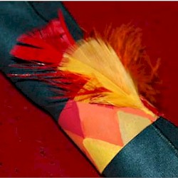 Indian Headband Napkin Holder - Kids Crafts
