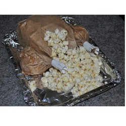 Popcorn Paper BagTurkey - Kids Crafts