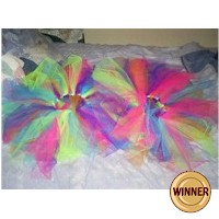 TuTu with Matching Head Band and Wand Craft