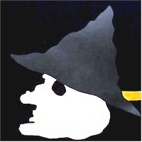 Wild and Wicked Witch - Kids Crafts