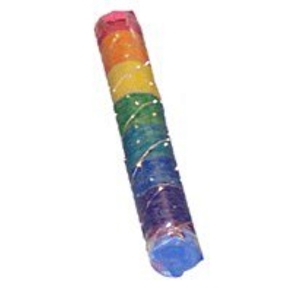 Recycled Rain Stick Craft