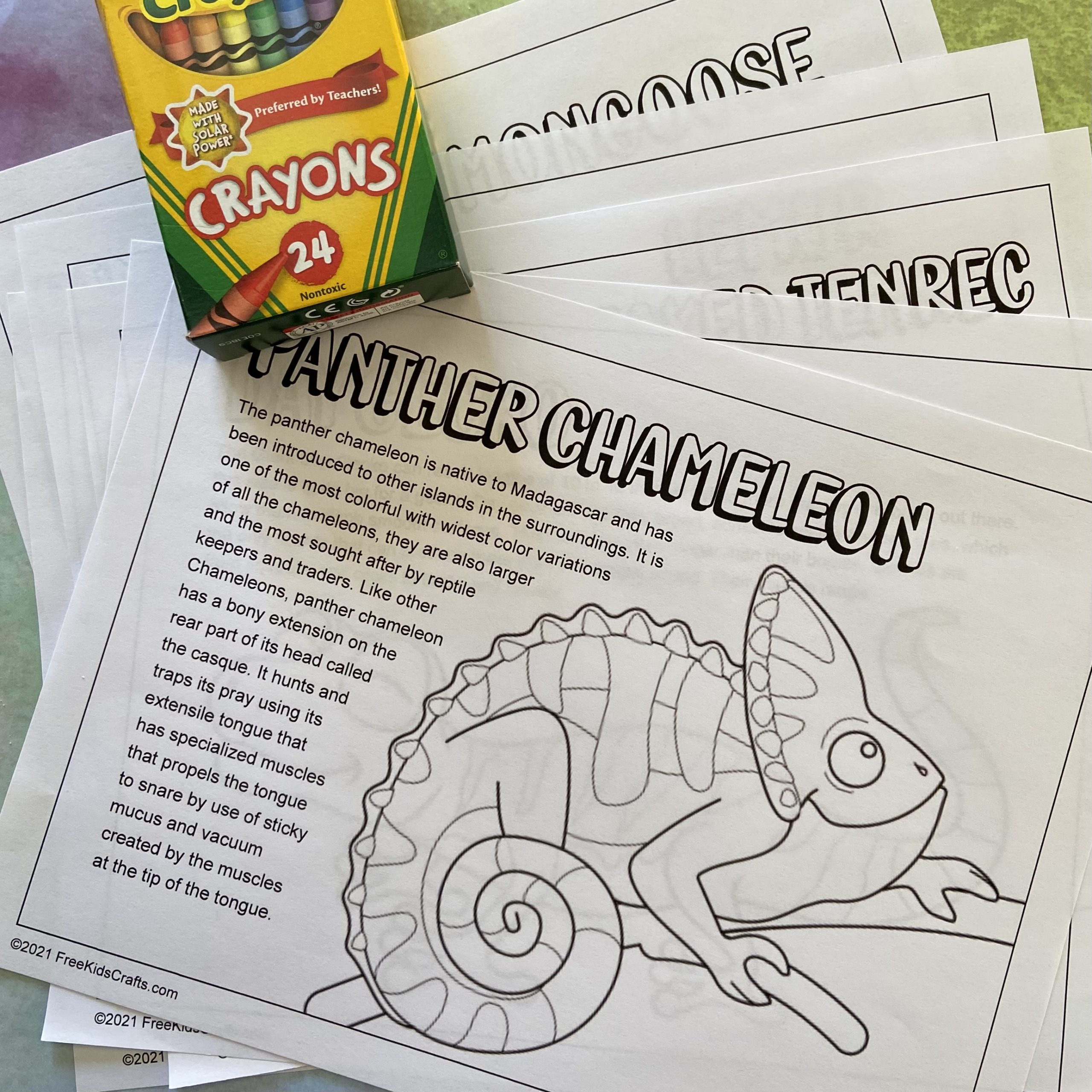 Madagascar coloring pages depicting animals from the area.