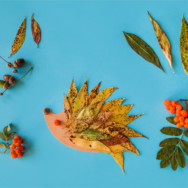 Hedgehog Nature Craft