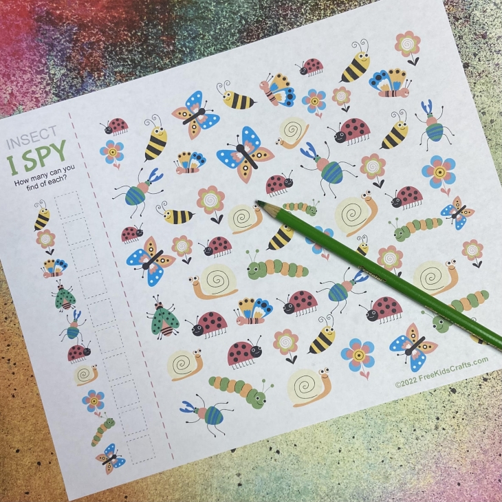 I Spy Insects Activity Worksheet