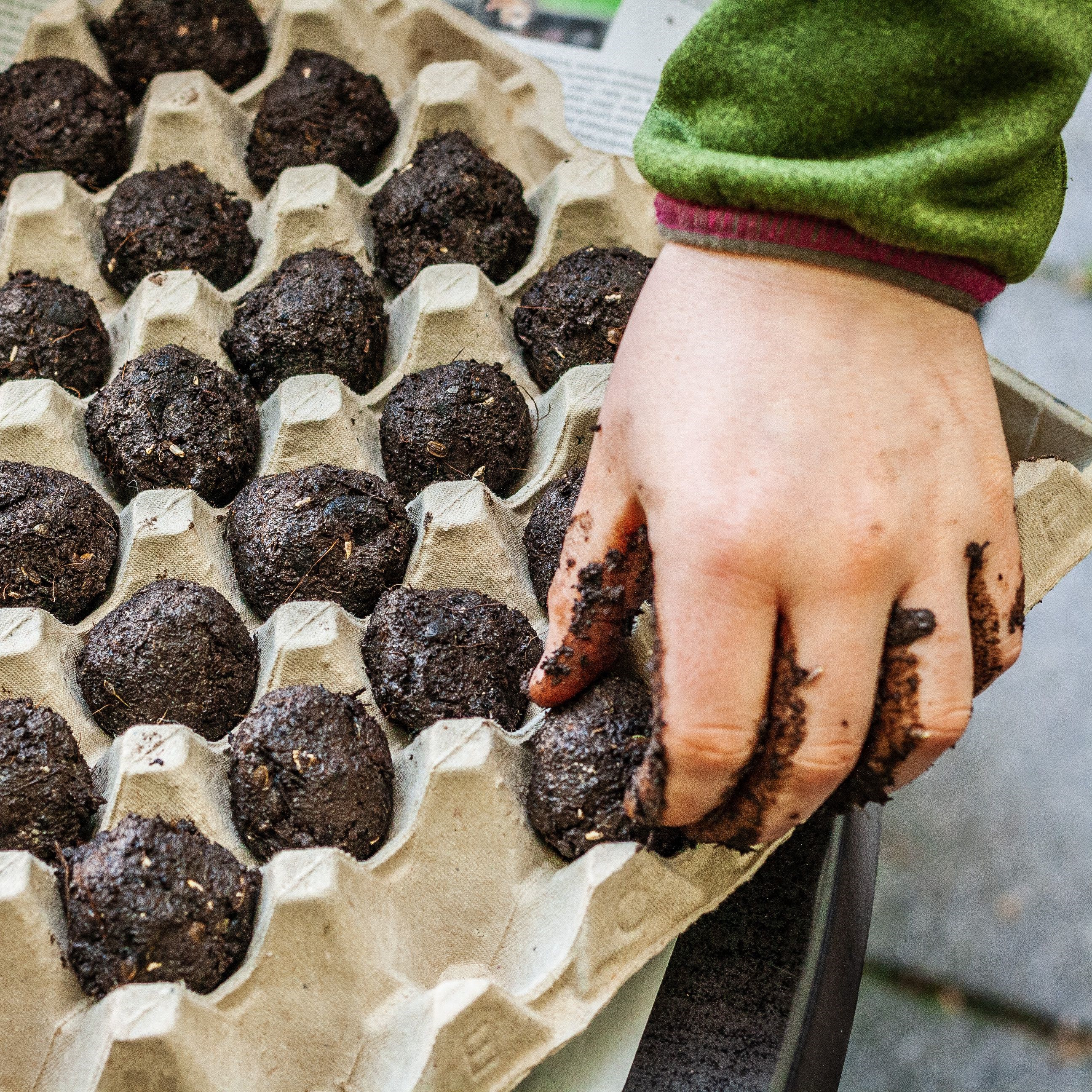 Balls made of wildflower seeds