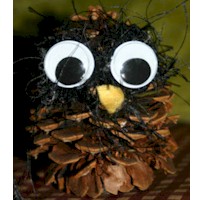 Wise Guy Owl Pine Cone Craft
