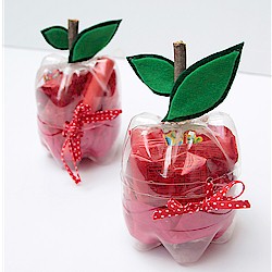 Apple Gift Boxes