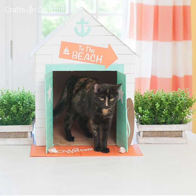 Beachy Pet House