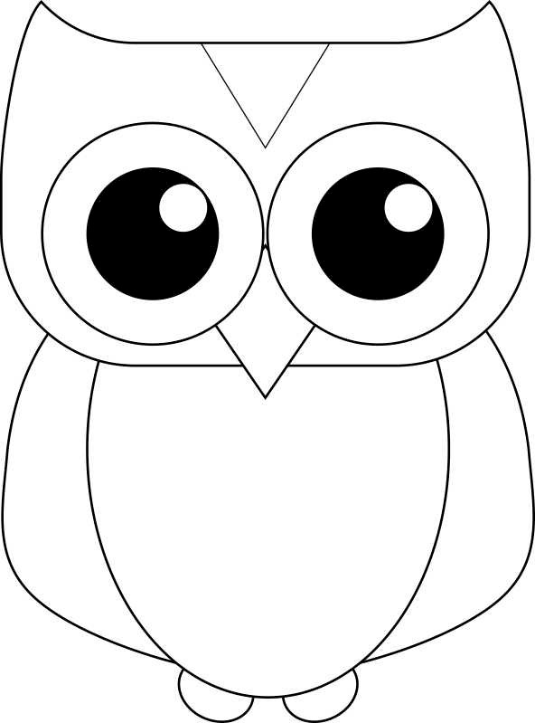 bean-mosaic-owl