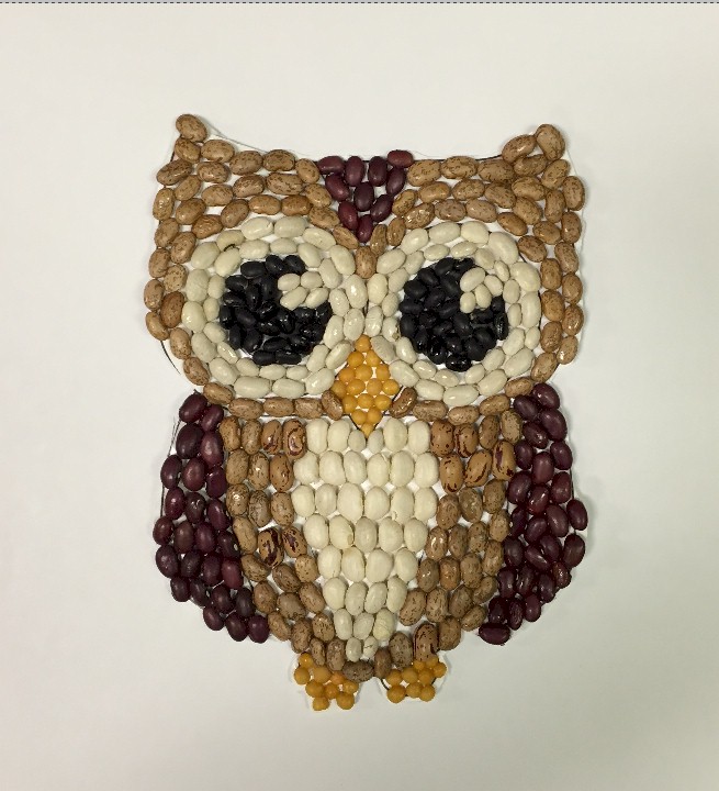 Bean Mosaic Owl