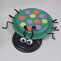 Paper Plate Beetle