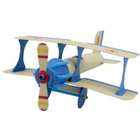 Recycled Bi Plane