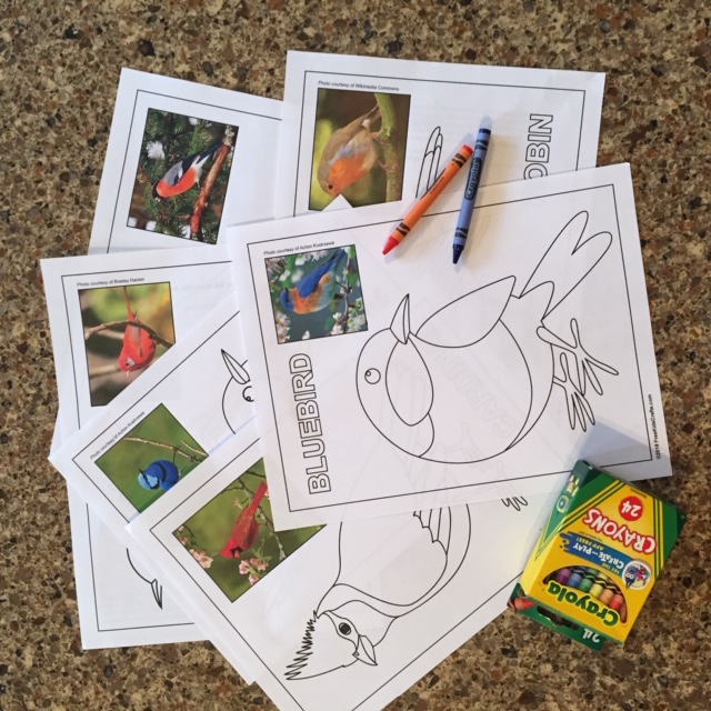 Bird Coloring Page Samples