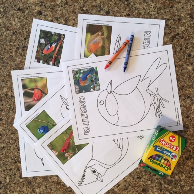 Simple coloring page for kids 4-8 age white and black, bird on a