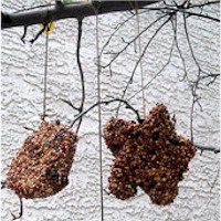 Easy Bird Treats