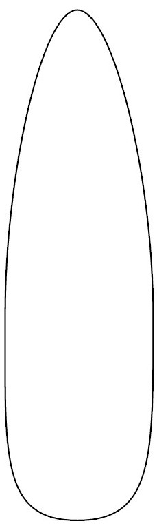 Corn On The Cob Craft Template