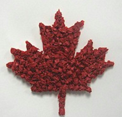 Canadian Maple Leaf