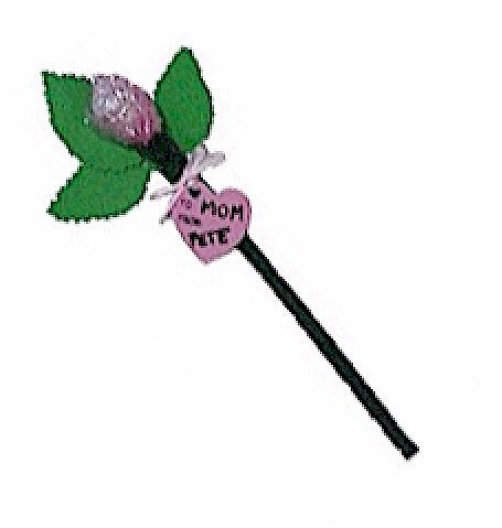 Valentine Candy Rose