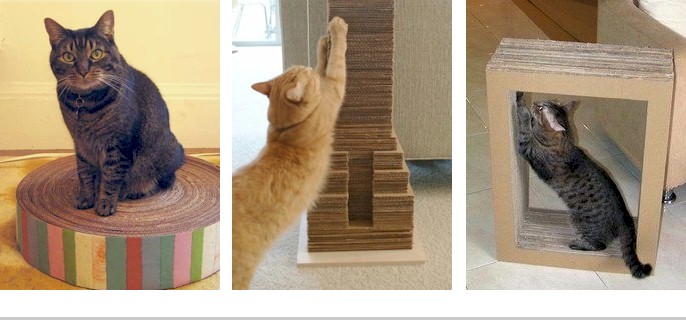 DIY Cat Scratching Post Ideas