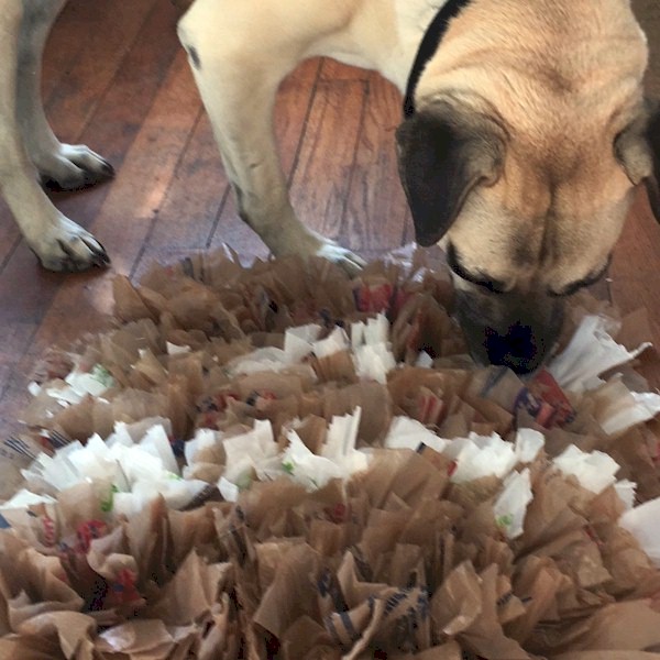 Pet Snuffle Mat