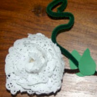 Doily Rose