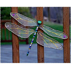Dragonfly Craft