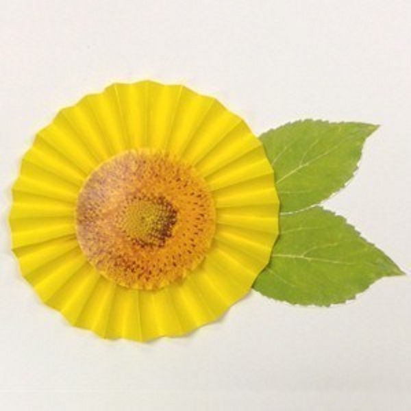 Sunflower created with yellow paper and folded into a fan shape