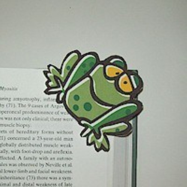 Frog bookmark made from recycled envelopes