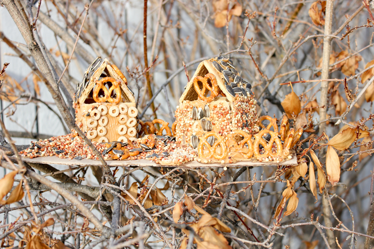 Graham Cracker Bird Feeders