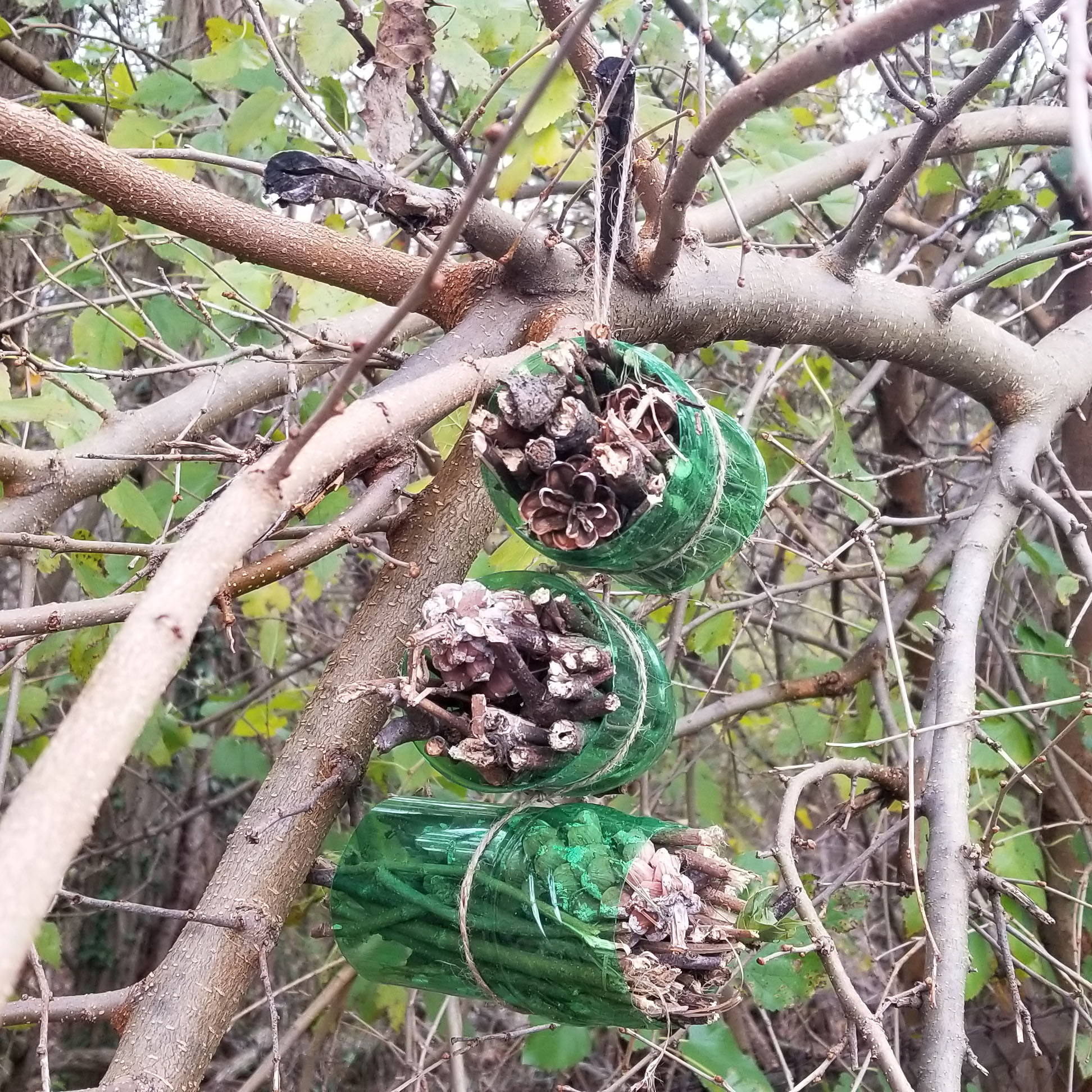 Easy Bug Hotel for Children to Make