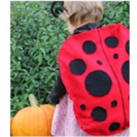 Ladybug Halloween Costume