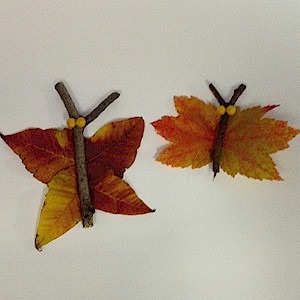 Make Butterflies From Leaves