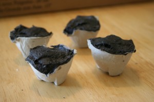 Lint and Egg Carton Campfire Starters