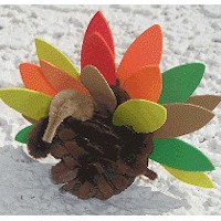 Pinecone Turkey