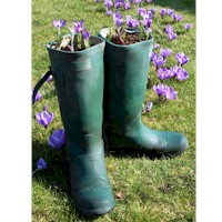 Planting Wellies