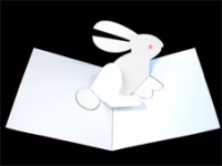 Pop Up Rabbit