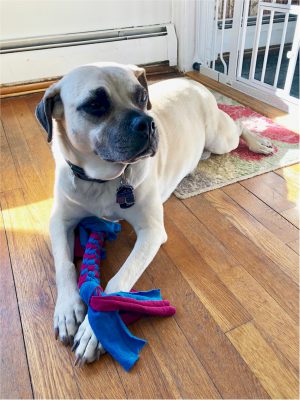 Woven Dog Toy Made from Recycled Tee Shirts