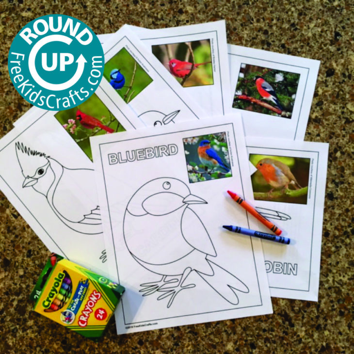 Roundup of Bird Crafts for Young Children