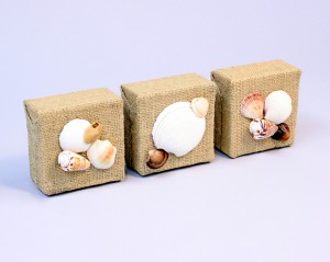 Sea Shell Decorations