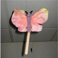 Soaring Butterfly