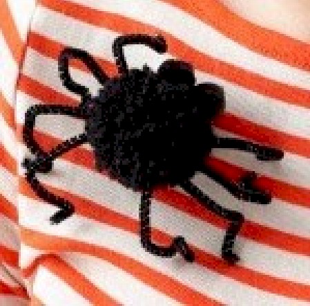 Spider Pin
