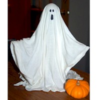 Stiffened Fabric Ghost