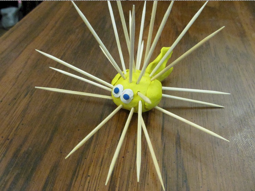 Toothpick Puffer Fish