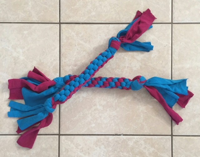 Recycled Tee Shirt Dog Toy Craft
